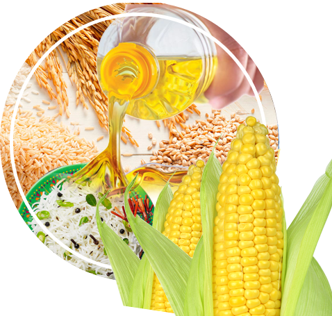 FMI Foods and Distribution