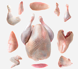 Poultry